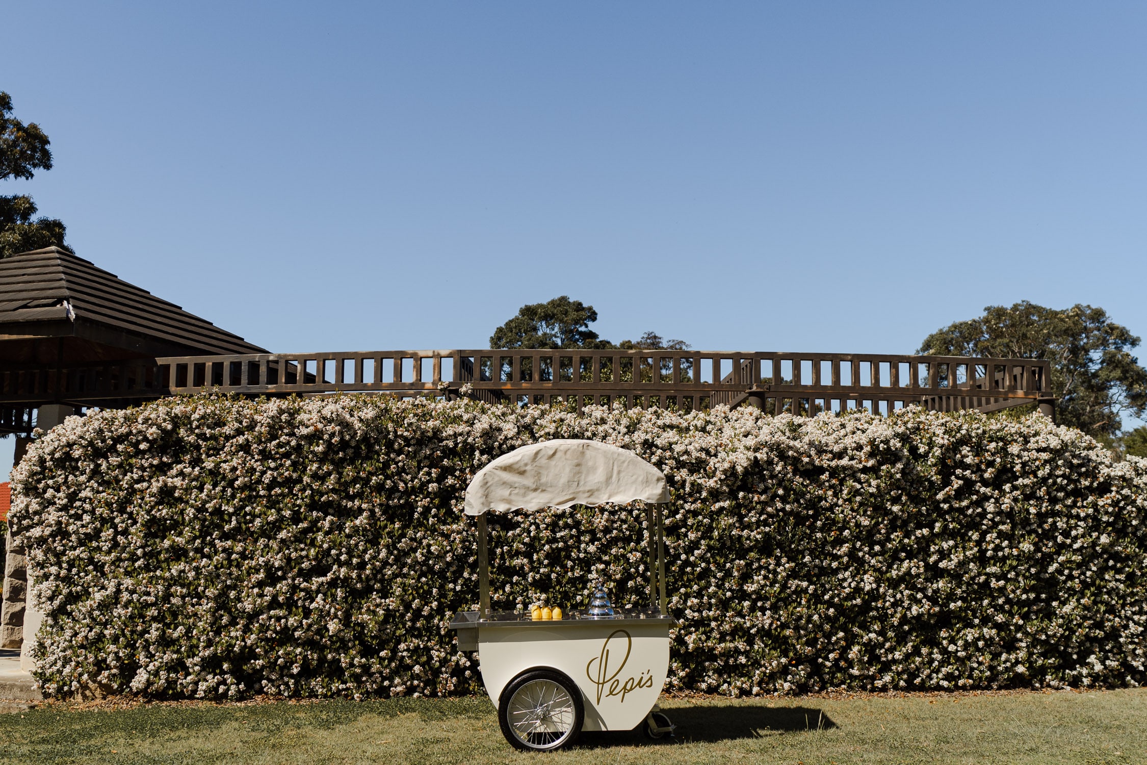 The canopied Pepi's cart sits on a lawn in front of a tall flowering hedge and timber fence under a clear blue sky.
